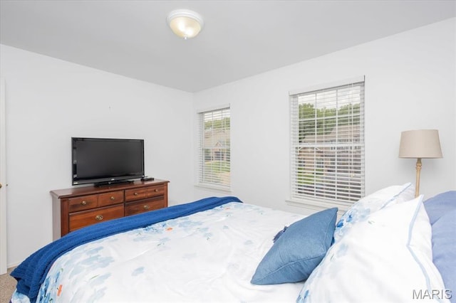 17282 Hilltop Ridge Dr, Eureka, MO 63025 - view of bedroom