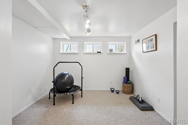 17282 Hilltop Ridge Dr, Eureka, MO 63025 - workout area with carpet floors, baseboards, and rail lighting