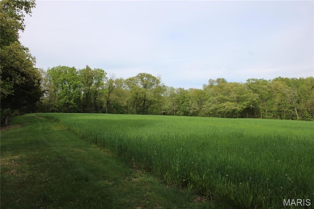 16255 Monroe Rd Unit 875, Paris, MO 65275 - view of tree filled area