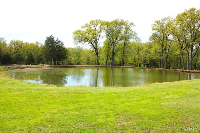 16255 Monroe Rd Unit 875, Paris, MO 65275 - water view