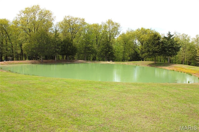 16255 Monroe Rd Unit 875, Paris, MO 65275 - water view