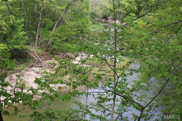 16255 Monroe Rd Unit 875, Paris, MO 65275 - view of woods