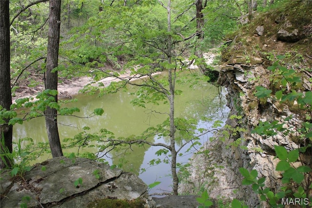 16255 Monroe Rd Unit 875, Paris, MO 65275 - view of undeveloped land