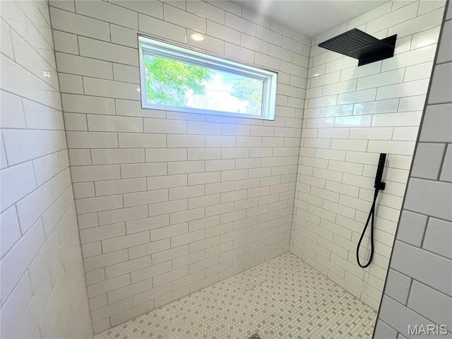 201 S Ashbrook, Bethalto, IL 62010 - bathroom featuring a tile shower