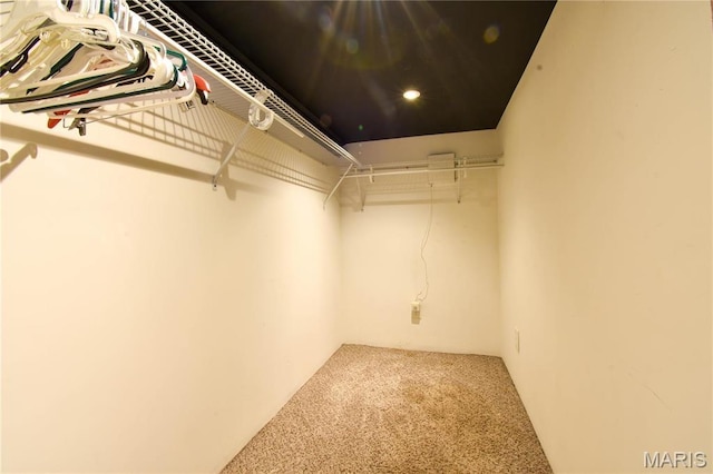 walk in closet featuring carpet flooring