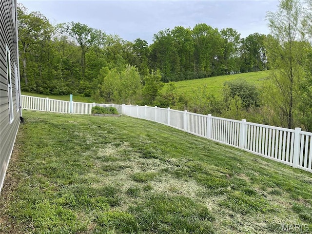 210 Boardwalk Ct, Union, MO 63084 - view of yard
