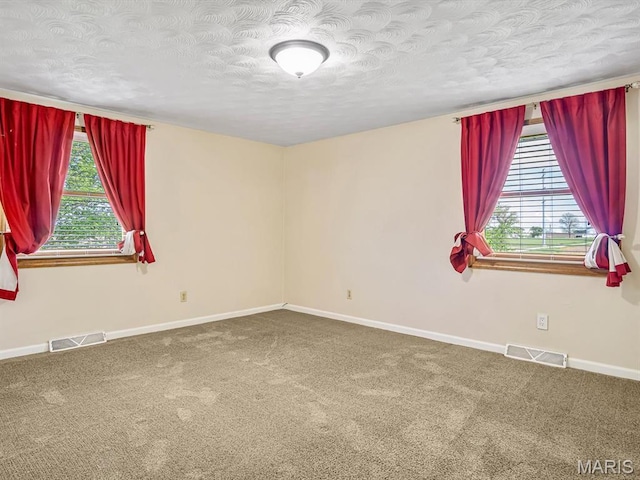 10804 Campbell Rd, Coulterville, IL 62237 - carpeted spare room with healthy amount of natural light, a textured ceiling, and baseboards