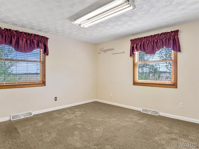 10804 Campbell Rd, Coulterville, IL 62237 - unfurnished room featuring healthy amount of natural light, carpet, baseboards, and a textured ceiling