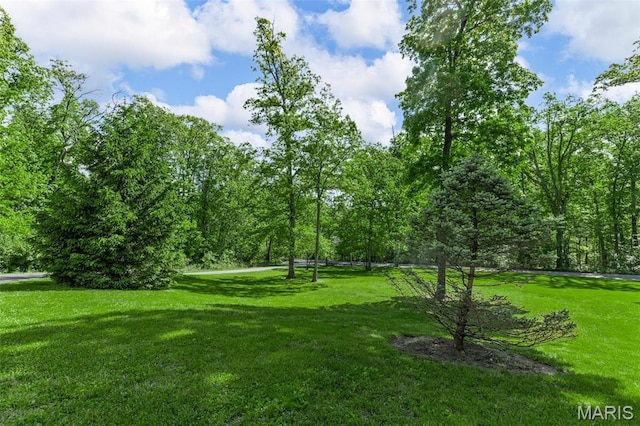 2453 Lone Trail Dr, Foristell, MO 63348 - view of community featuring a lawn
