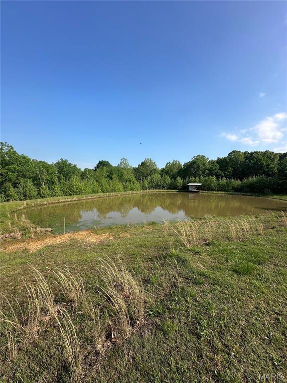 23225 Roulette Rd, Waynesville, MO 65583 - photo 4