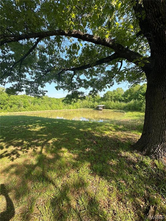 23225 Roulette Rd, Waynesville, MO 65583 - photo 5