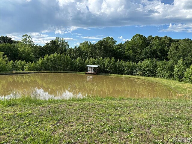 23225 Roulette Rd, Waynesville, MO 65583 - photo 7