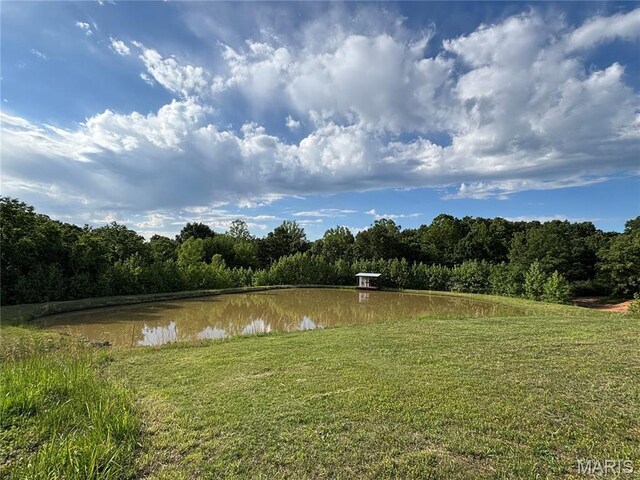 23225 Roulette Rd, Waynesville, MO 65583 - photo 8