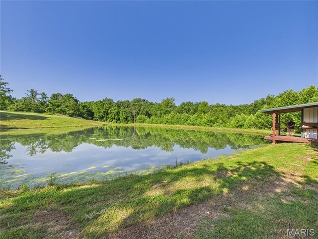 23225 Roulette Rd, Waynesville, MO 65583 - photo 27