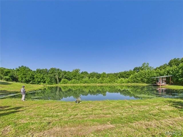 23225 Roulette Rd, Waynesville, MO 65583 - photo 28