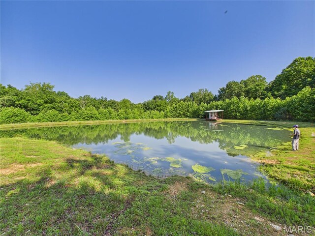23225 Roulette Rd, Waynesville, MO 65583 - photo 29