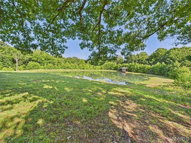 23225 Roulette Rd, Waynesville, MO 65583 - photo 32