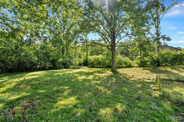 1122 Edgewood Dr, Festus, MO 63028