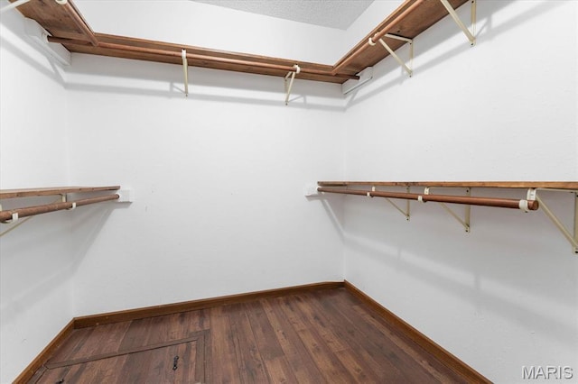 walk in closet with dark wood-style flooring
