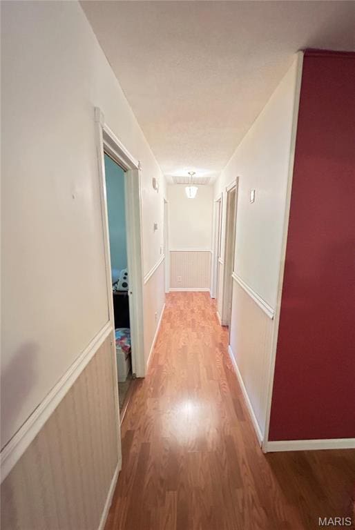120 E Beth St, Licking, MO 65542 - corridor with light wood-style flooring and wainscoting