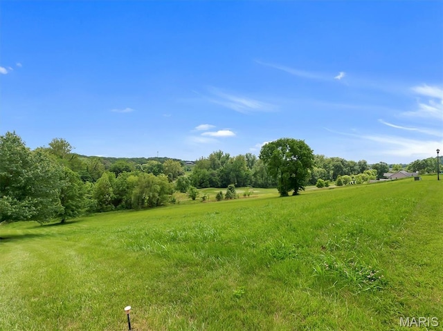590 Fairway Dr, Union, MO 63084 - view of yard