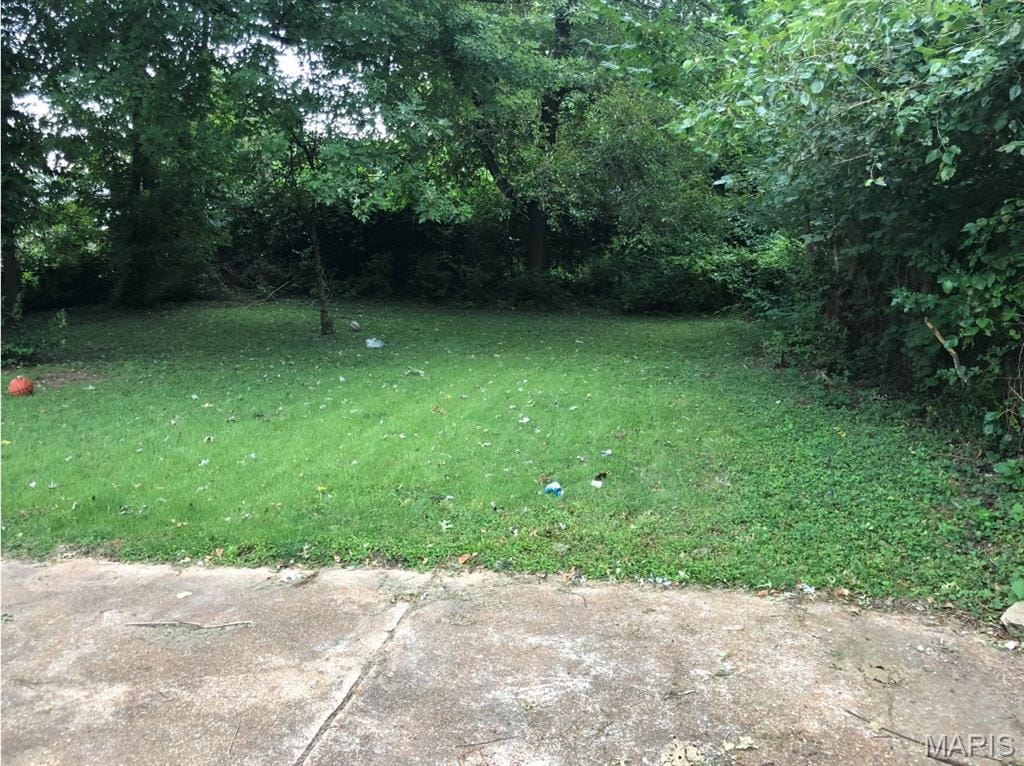 10208 Royal Dr, Saint Louis, MO 63136 - view of green lawn