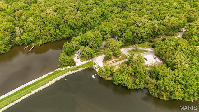 15222 Circle Dr, Gillespie, IL 62033 - aerial overview of property's location with a large body of water and a forest