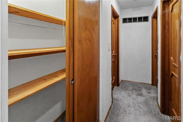 4900 Eiffel Dr, Godfrey, IL 62035 - hall featuring carpet flooring and baseboards