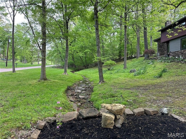 view of grassy yard