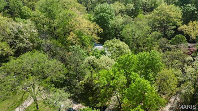 aerial view of a forest