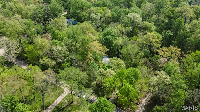 bird's eye view of a forest