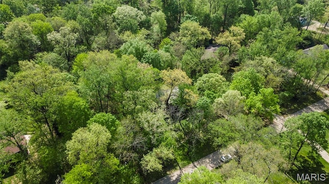 drone / aerial view of a forest