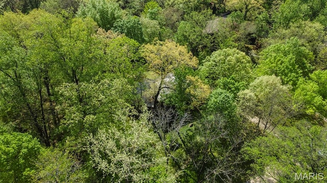 aerial view of a forest