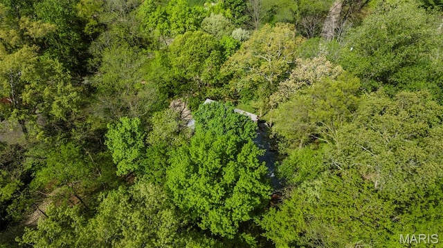 aerial view