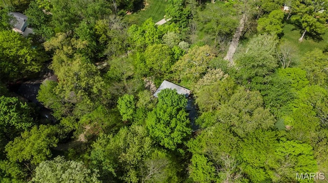aerial view