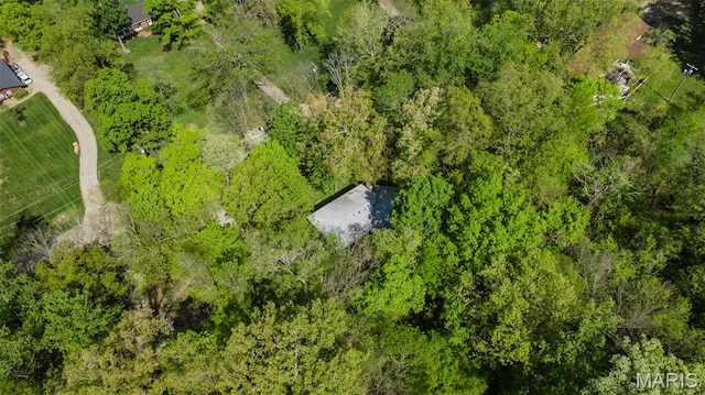 drone / aerial view