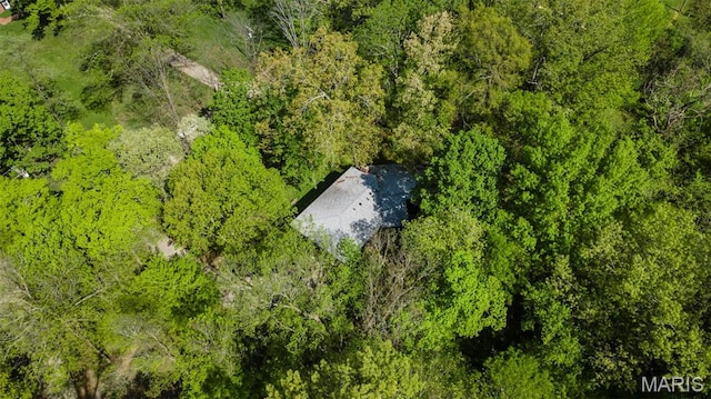drone / aerial view