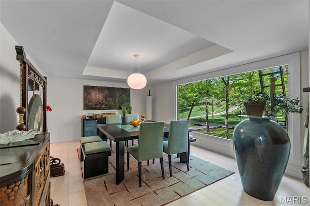 dining area with a raised ceiling