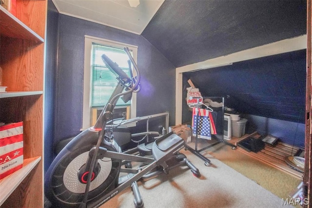 exercise area with carpet and lofted ceiling