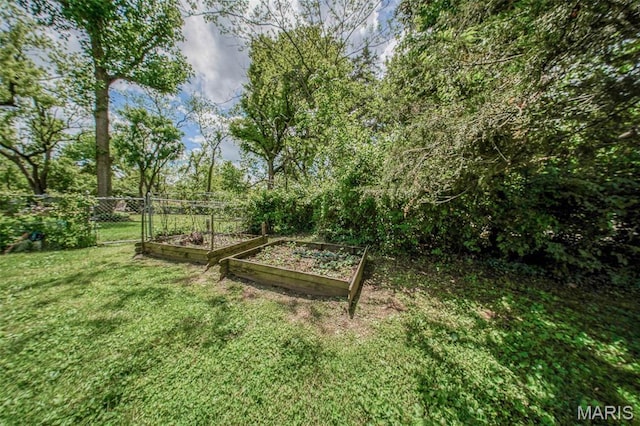 view of yard featuring a vegetable garden