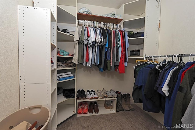 2754 Adeline Ave, Cape Girardeau, MO 63701 - spacious closet with carpet flooring