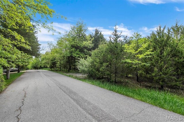 900 Silver Fox Dr, Wright City, MO 63390