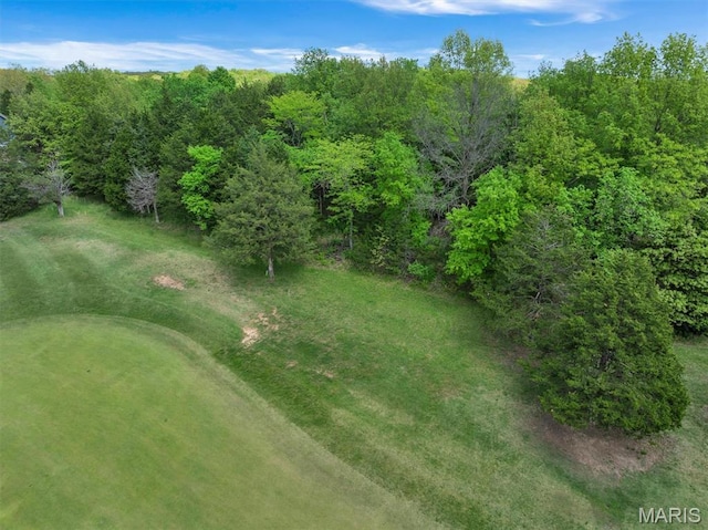 900 Silver Fox Dr, Wright City, MO 63390