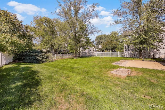view of yard featuring a patio area