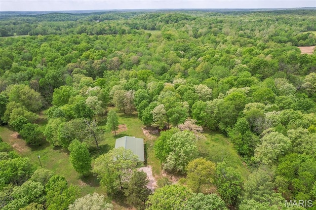 aerial view of a forest
