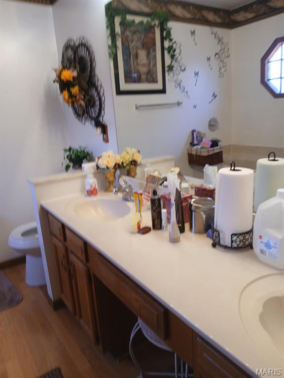 10506 Camden Park Dr, Saint Louis, MO 63135 - bathroom with wood finished floors, vanity, and toilet