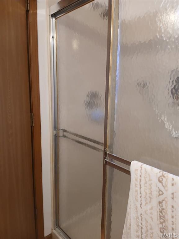 10506 Camden Park Dr, Saint Louis, MO 63135 - bathroom with a shower with shower door