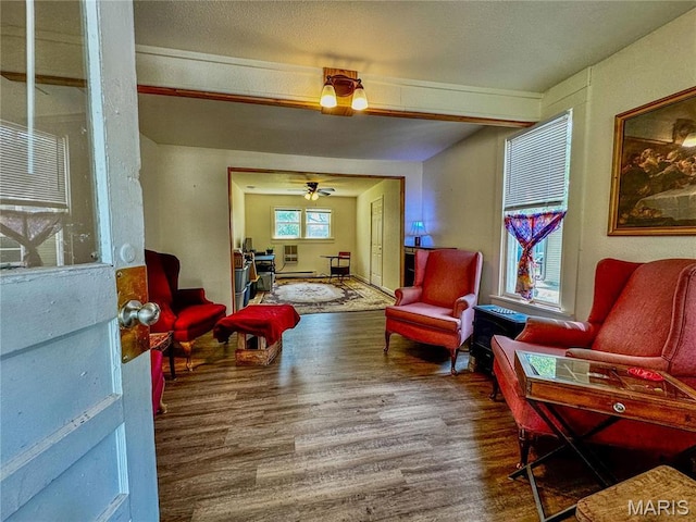 274 Cornelison St, Lebanon, MO 65536 - sitting room with wood finished floors and ceiling fan