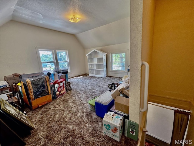274 Cornelison St, Lebanon, MO 65536 - rec room featuring lofted ceiling, carpet, and a textured ceiling