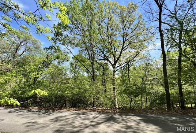 1032 Chesterfield Frst, Wildwood, MO 63005